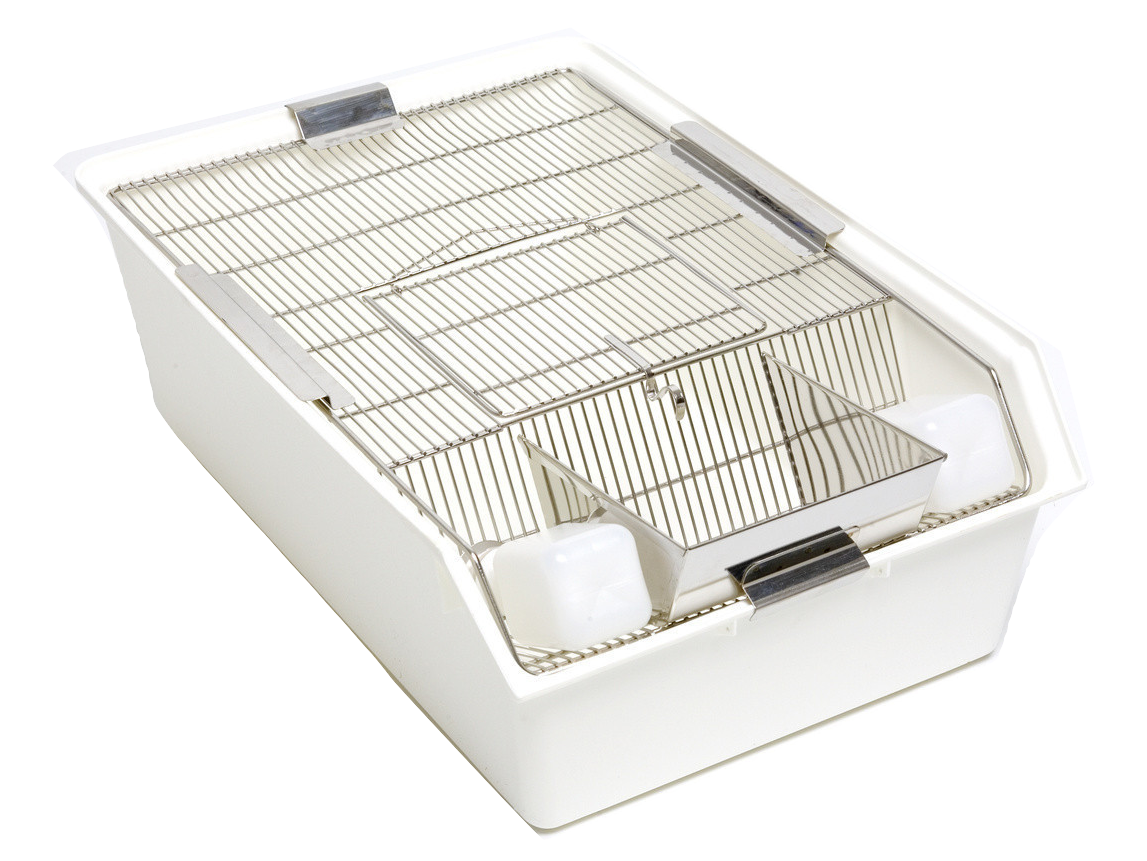 RC1 Mouse, Rat and Guinea Pig Housing